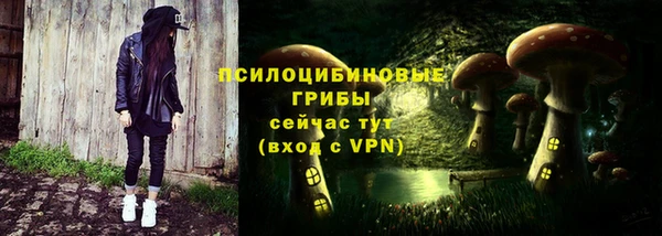 соль курить ск Алзамай