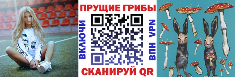 Псилоцибиновые грибы Psilocybine cubensis  Зерноград 