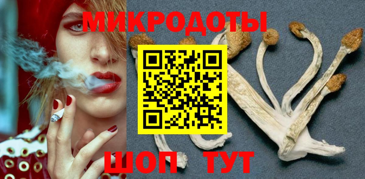 Зерноград  Псилоцибиновые грибы Psilocybe  Вход с VPN 